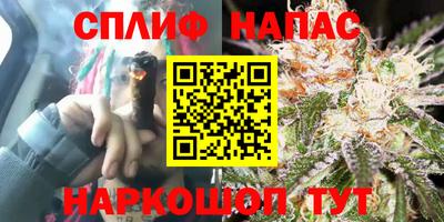 МДПВ Старая Купавна